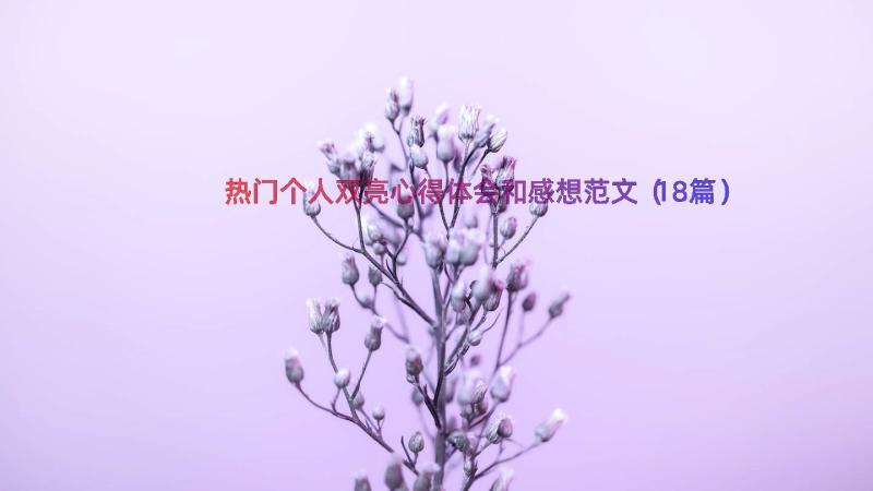 热门个人双亮心得体会和感想范文（18篇）