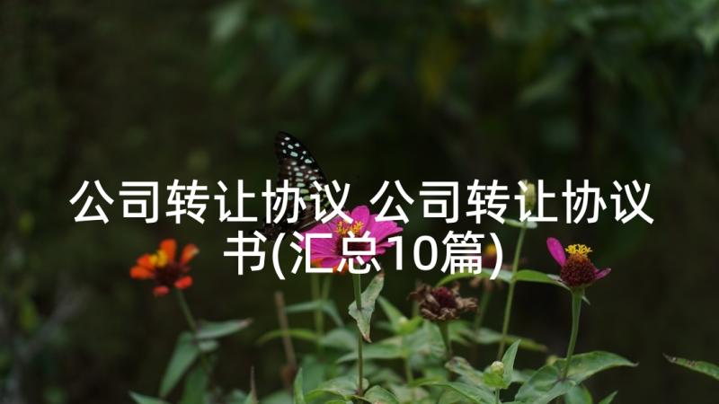 公司转让协议 公司转让协议书(汇总10篇)