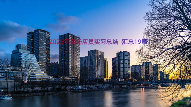 2023年商场店员实习总结（汇总19篇）