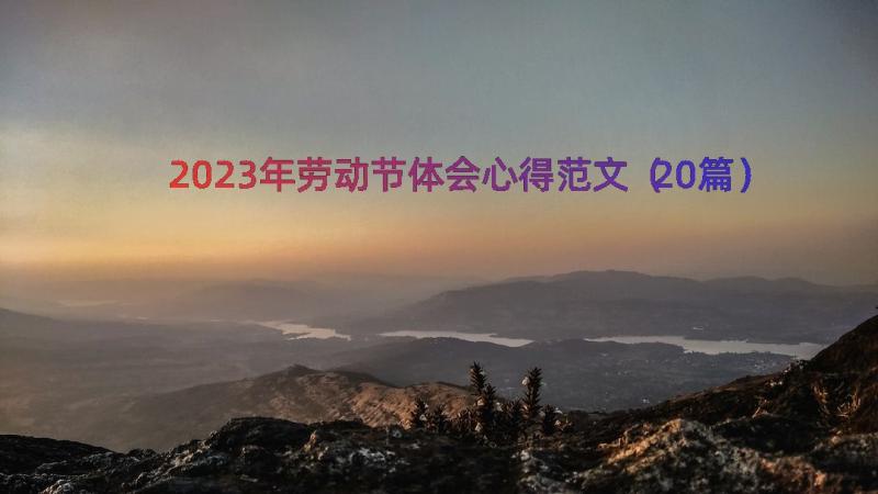 2023年劳动节体会心得范文（20篇）