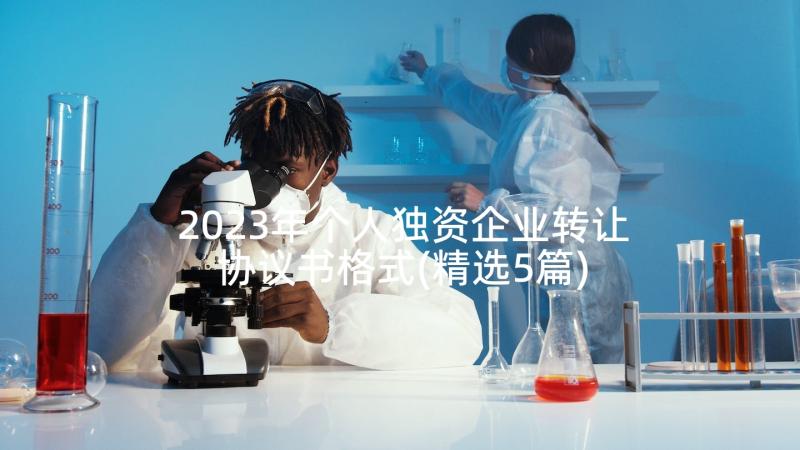 2023年个人独资企业转让协议书格式(精选5篇)