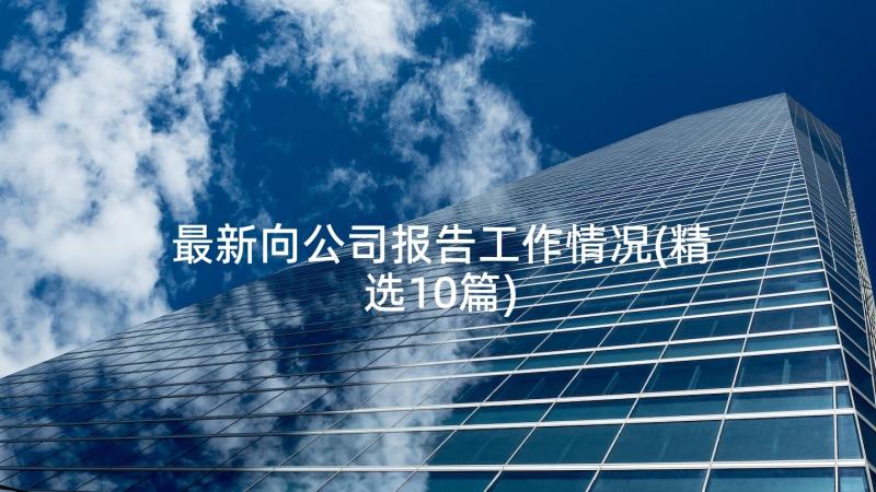 最新向公司报告工作情况(精选10篇)