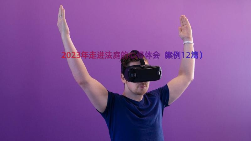 2023年走进法庭的心得体会（案例12篇）