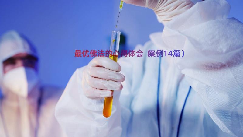 最优佛法的心得体会（案例14篇）