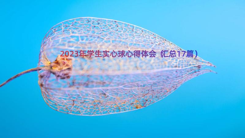 2023年学生实心球心得体会（汇总17篇）