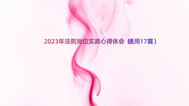 2023年法院岗位实践心得体会（通用17篇）