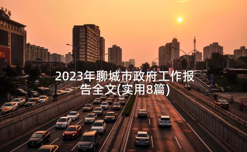 2023年聊城市政府工作报告全文(实用8篇)