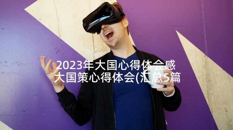 2023年大国心得体会感 大国策心得体会(汇总5篇)