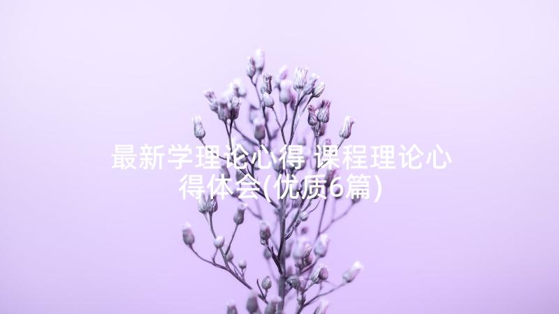 最新学理论心得 课程理论心得体会(优质6篇)