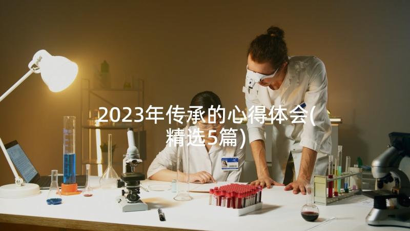 2023年传承的心得体会(精选5篇)