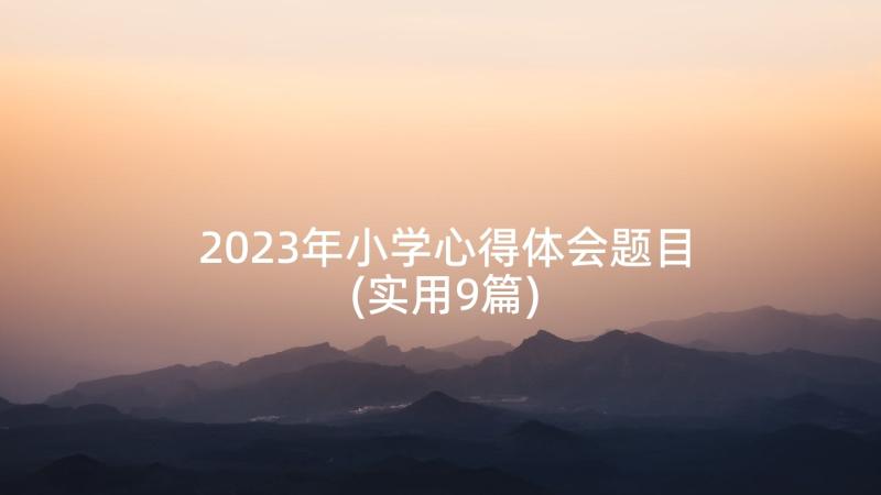 2023年小学心得体会题目(实用9篇)