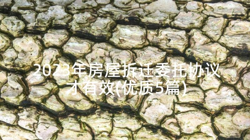 2023年房屋拆迁委托协议才有效(优质5篇)