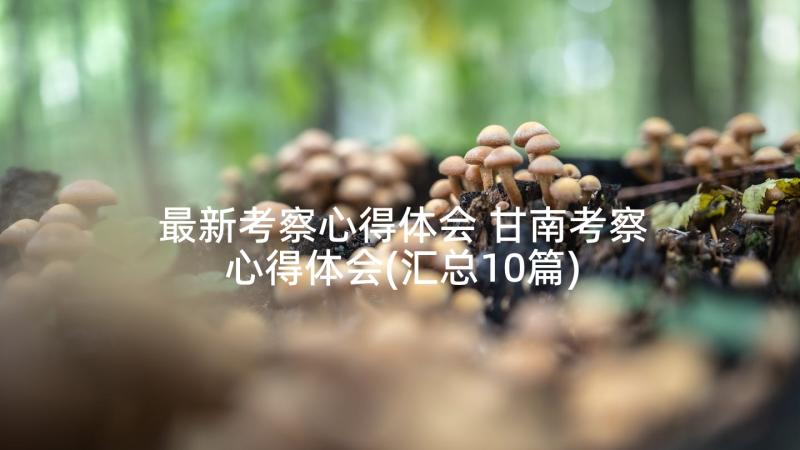 最新考察心得体会 甘南考察心得体会(汇总10篇)