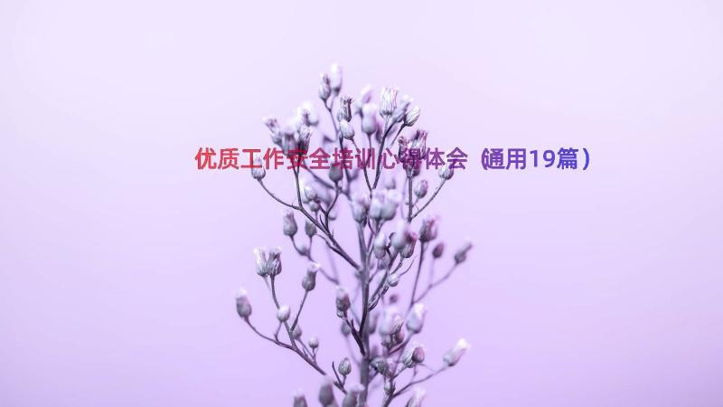 优质工作安全培训心得体会（通用19篇）