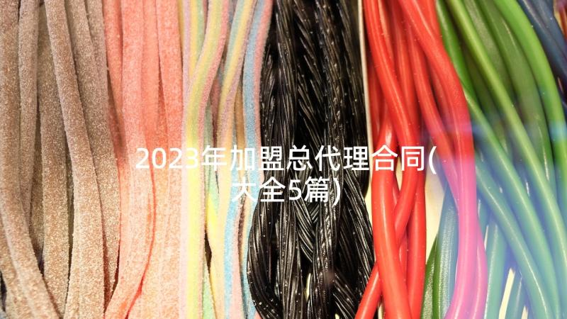 2023年加盟总代理合同(大全5篇)