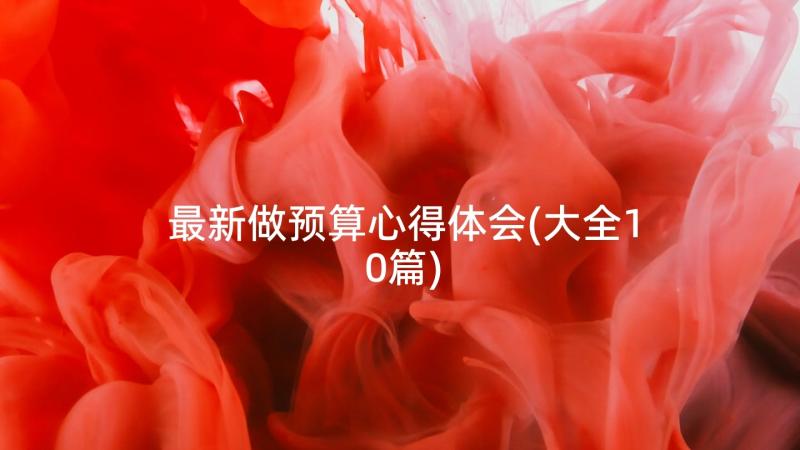 最新做预算心得体会(大全10篇)