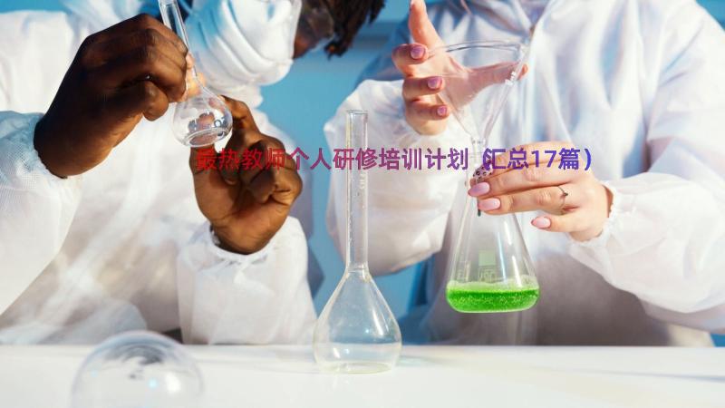 最热教师个人研修培训计划（汇总17篇）