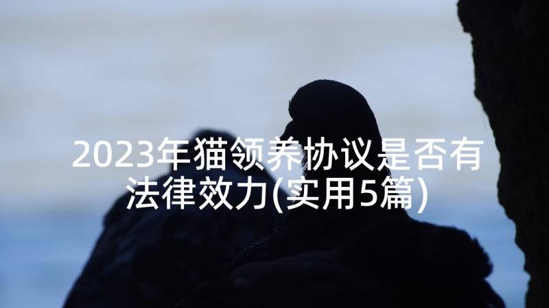 2023年猫领养协议是否有法律效力(实用5篇)