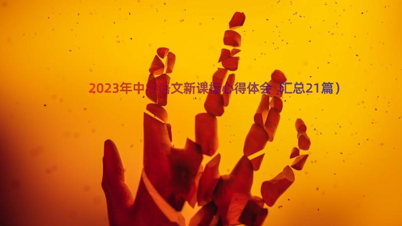 2023年中学语文新课标心得体会（汇总21篇）