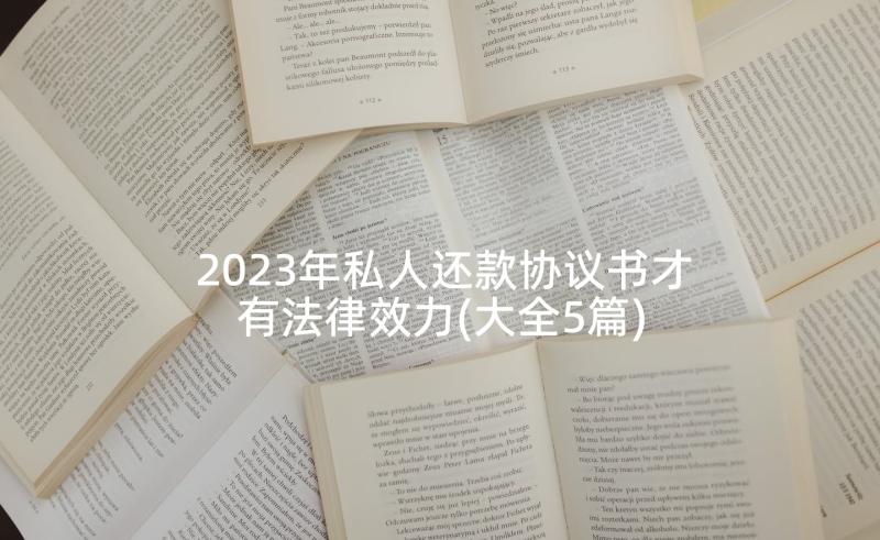 2023年私人还款协议书才有法律效力(大全5篇)