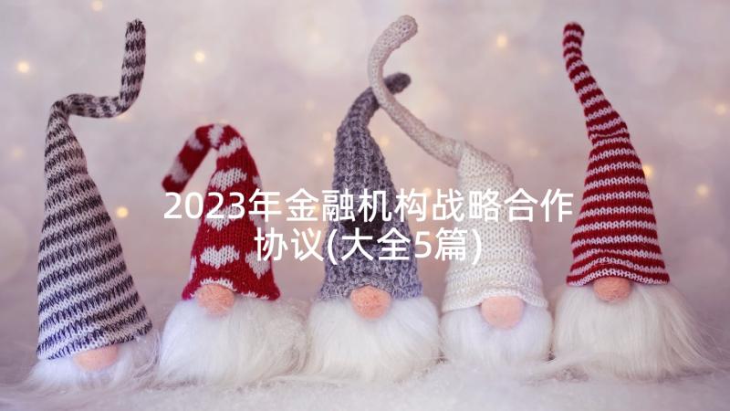 2023年金融机构战略合作协议(大全5篇)