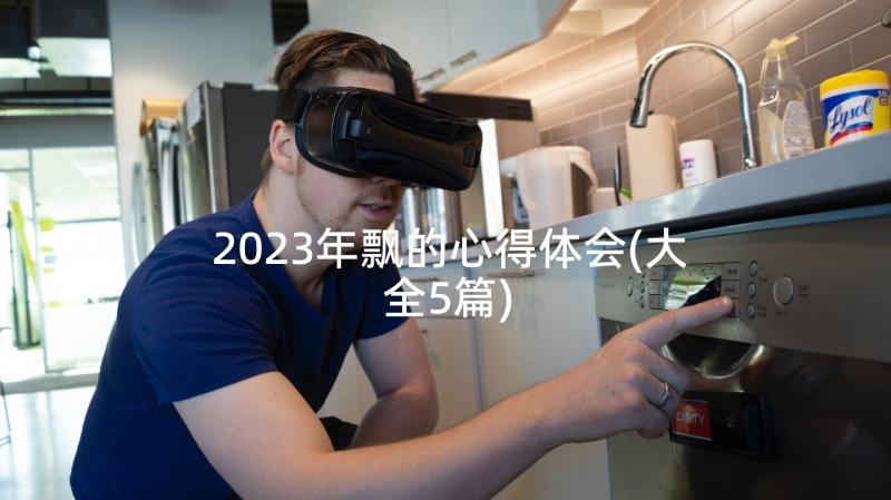 2023年飘的心得体会(大全5篇)