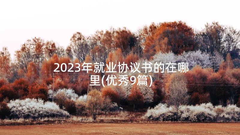 2023年就业协议书的在哪里(优秀9篇)