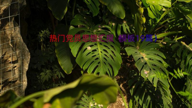 热门党员思想汇报（模板19篇）