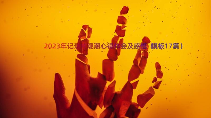 2023年记录片观潮心得体会及感悟（模板17篇）