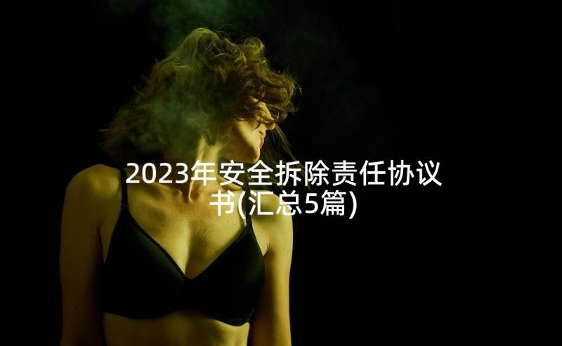 2023年安全拆除责任协议书(汇总5篇)