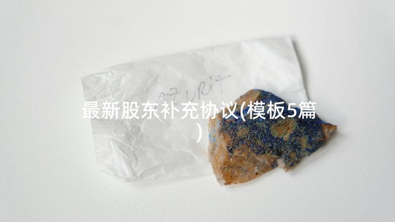 最新股东补充协议(模板5篇)