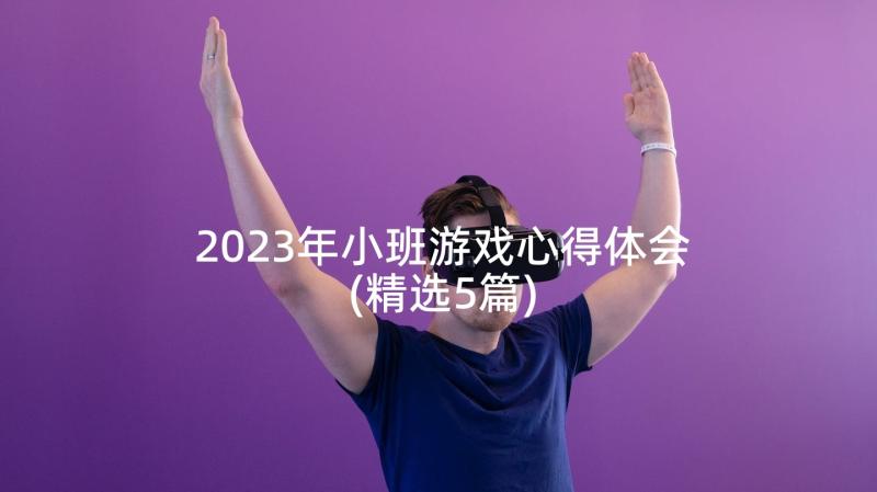 2023年小班游戏心得体会(精选5篇)