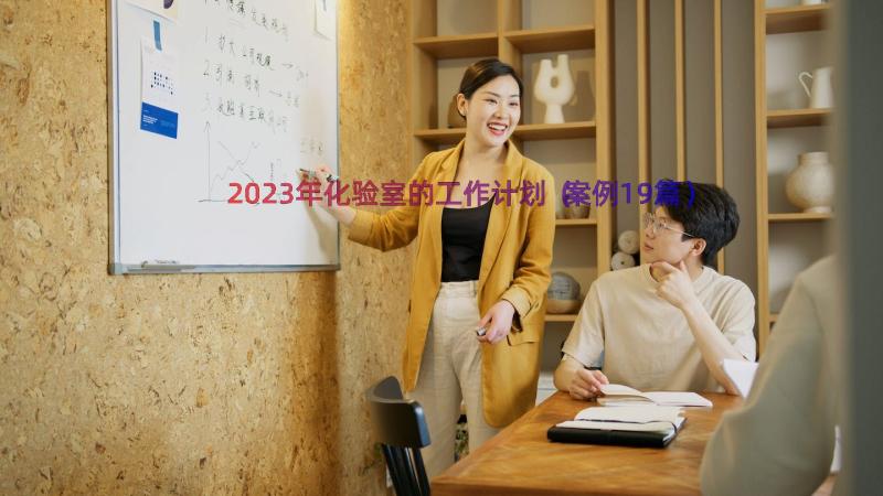 2023年化验室的工作计划（案例19篇）