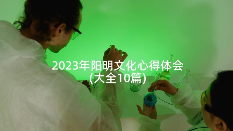 2023年阳明文化心得体会(大全10篇)