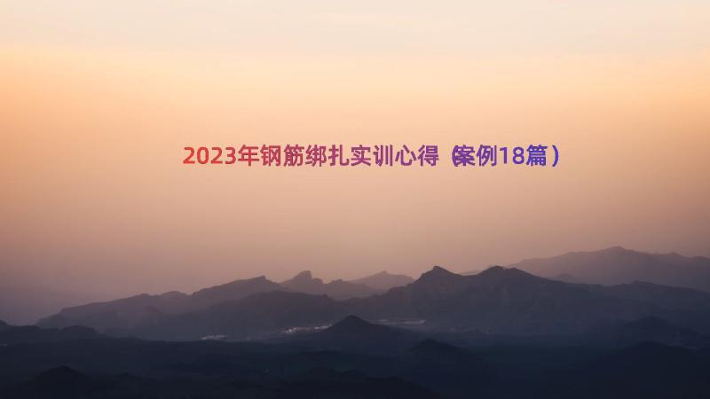 2023年钢筋绑扎实训心得（案例18篇）