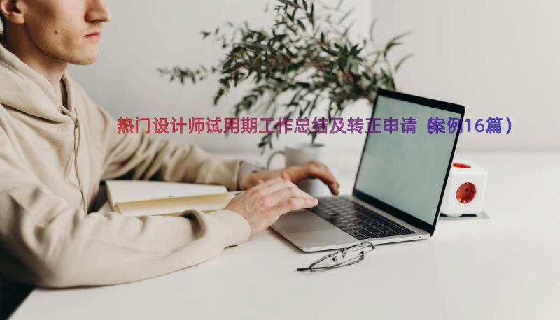 热门设计师试用期工作总结及转正申请（案例16篇）