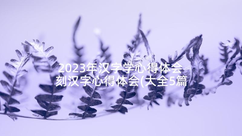 2023年汉字学心得体会 刻汉字心得体会(大全5篇)