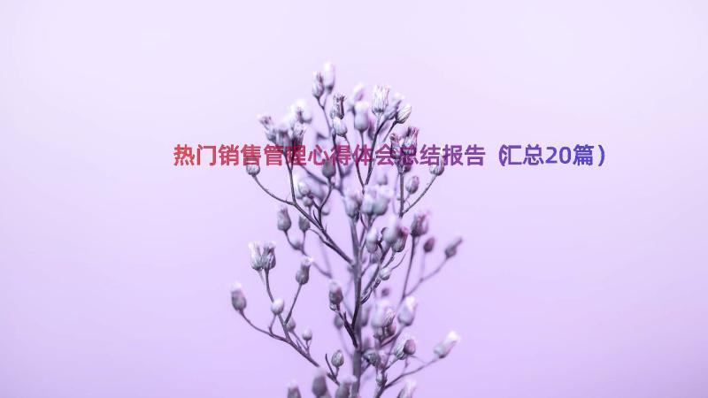 热门销售管理心得体会总结报告（汇总20篇）