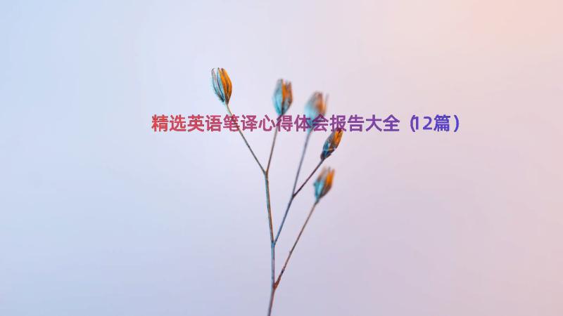 精选英语笔译心得体会报告大全（12篇）