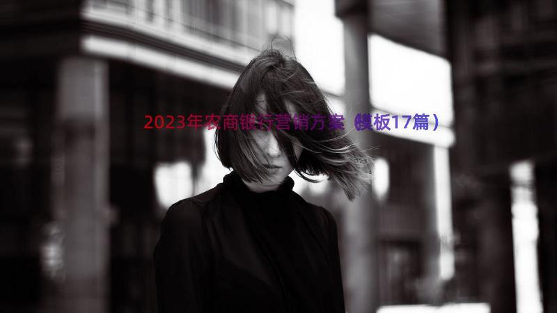 2023年农商银行营销方案（模板17篇）