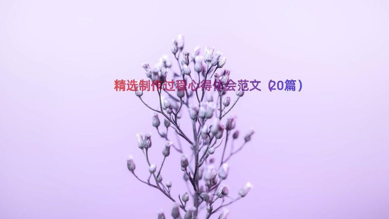 精选制作过程心得体会范文（20篇）