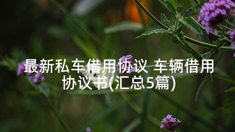 最新私车借用协议 车辆借用协议书(汇总5篇)