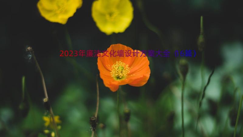 2023年廉洁文化墙设计方案大全（16篇）