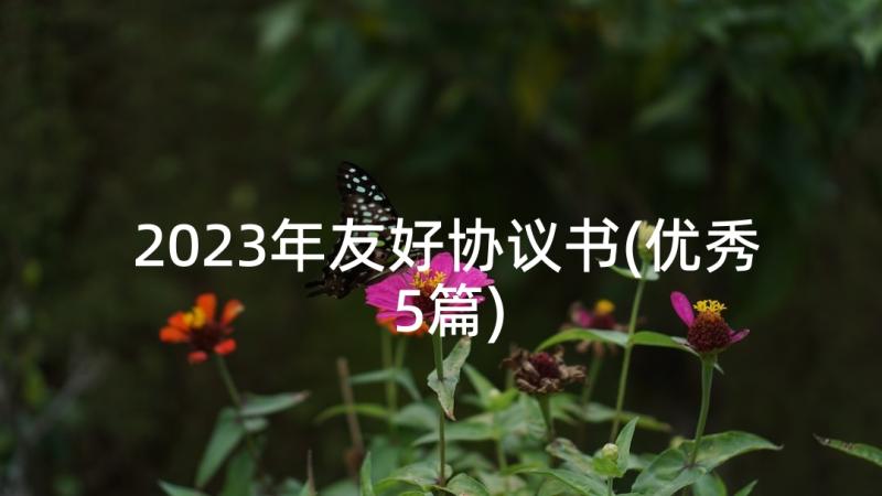 2023年友好协议书(优秀5篇)