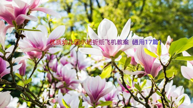 优质幼儿园小班折纸飞机教案（通用17篇）