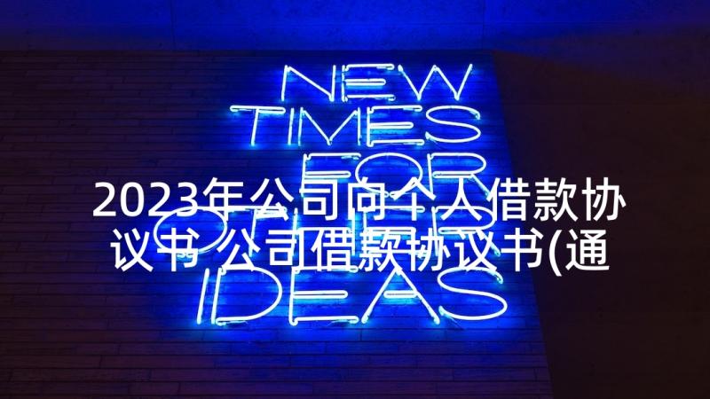 2023年公司向个人借款协议书 公司借款协议书(通用8篇)