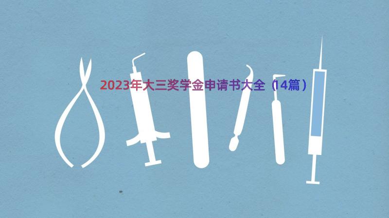 2023年大三奖学金申请书大全（14篇）