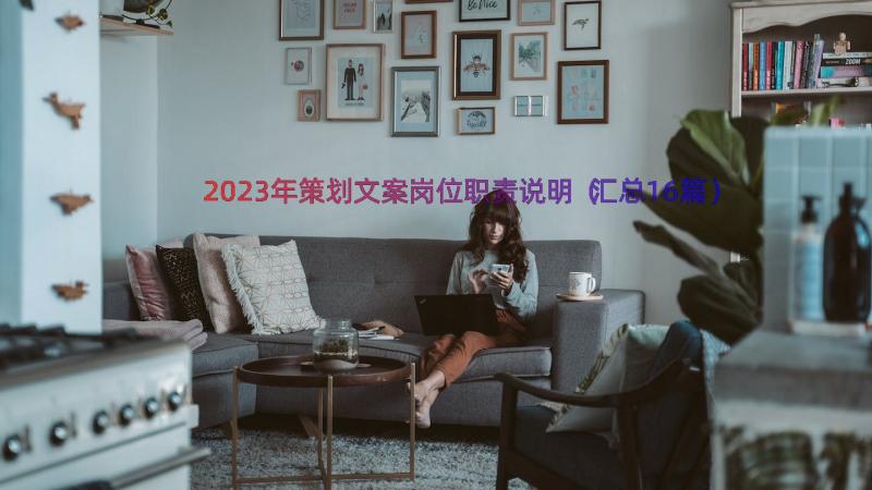 2023年策划文案岗位职责说明（汇总16篇）