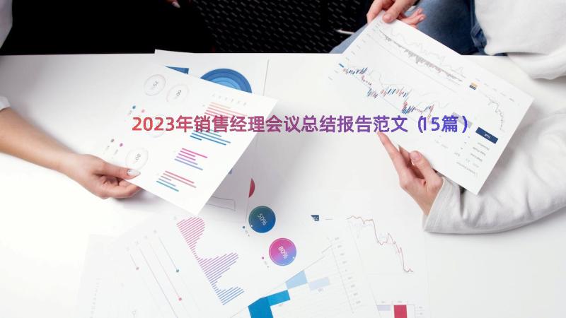 2023年销售经理会议总结报告范文（15篇）