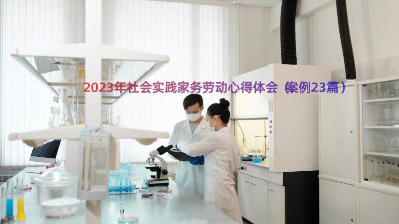 2023年社会实践家务劳动心得体会（案例23篇）